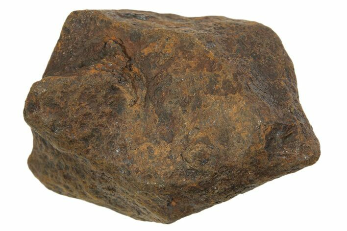 Mundrabilla Iron Meteorite ( g) - Australia #318888